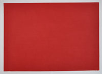 Non-Woven Table Mats – 42 × 32 cm – Pack of 6 (SL/TABLE MAT)