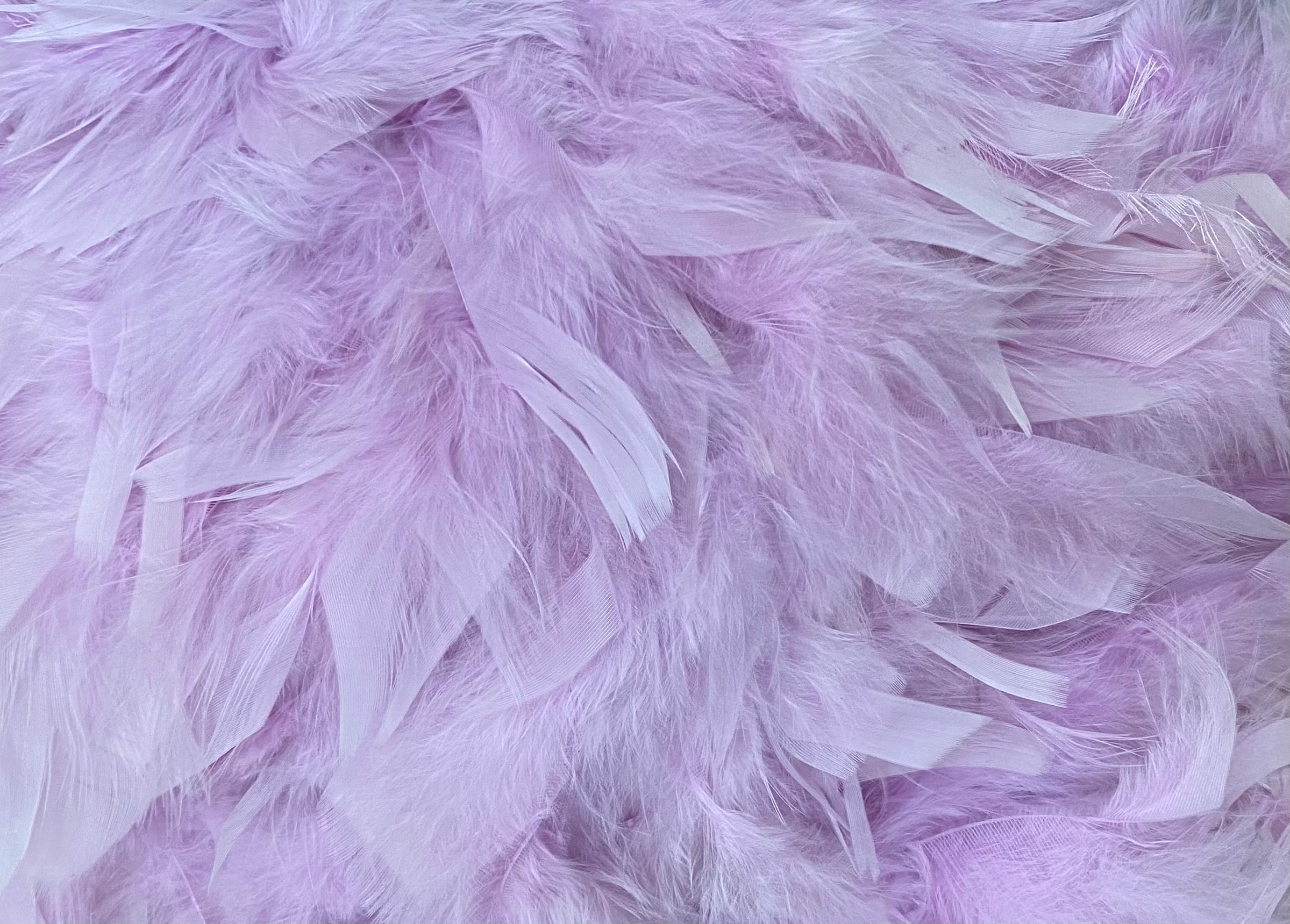 FEATHER TRIMMING;2YD (MCN002)