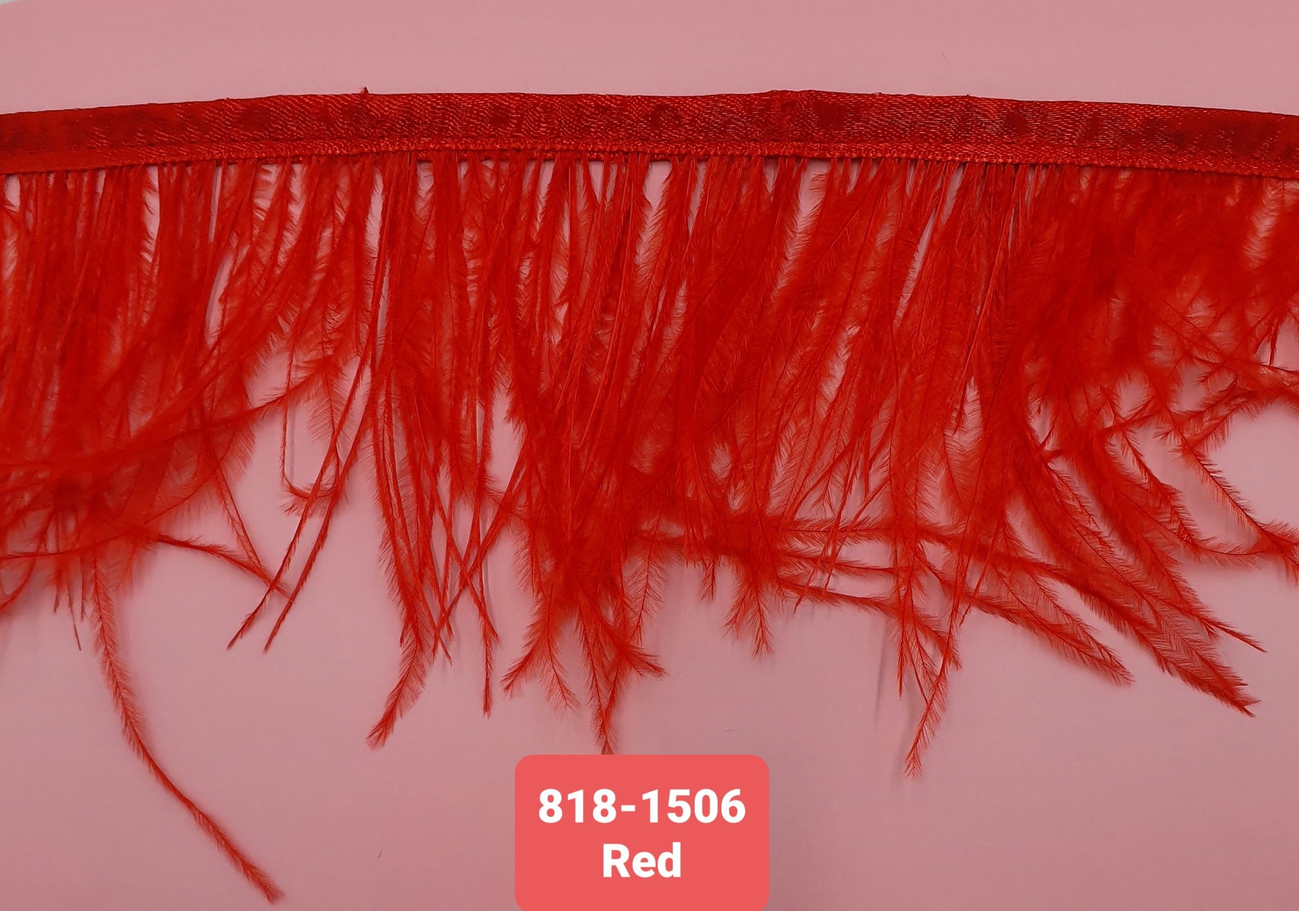 OSTRICH FEATHER TRIMMING:5Y (818-1506)