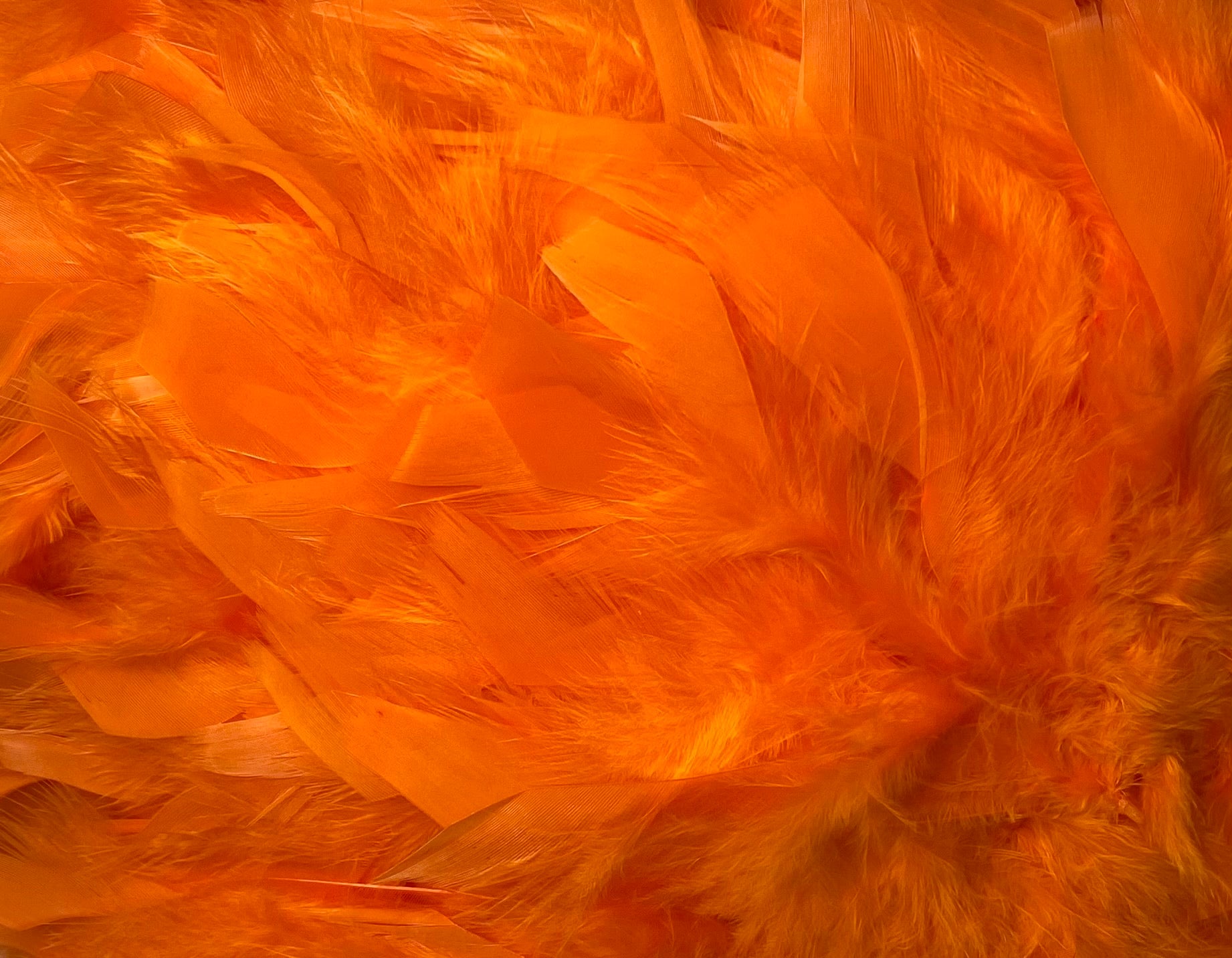 FEATHER TRIMMING;2YD (MCN002)