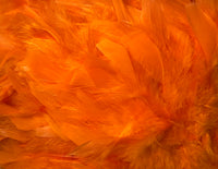 Feather Trimming – 2 yd (MCN002)