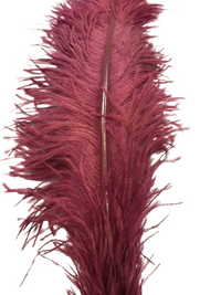 Ostrich Feathers – Large – Pack of 5 (MCN008L)