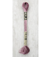 DMC Light Effects Metallic Embroidery Floss — 6 Skeins (317W)
