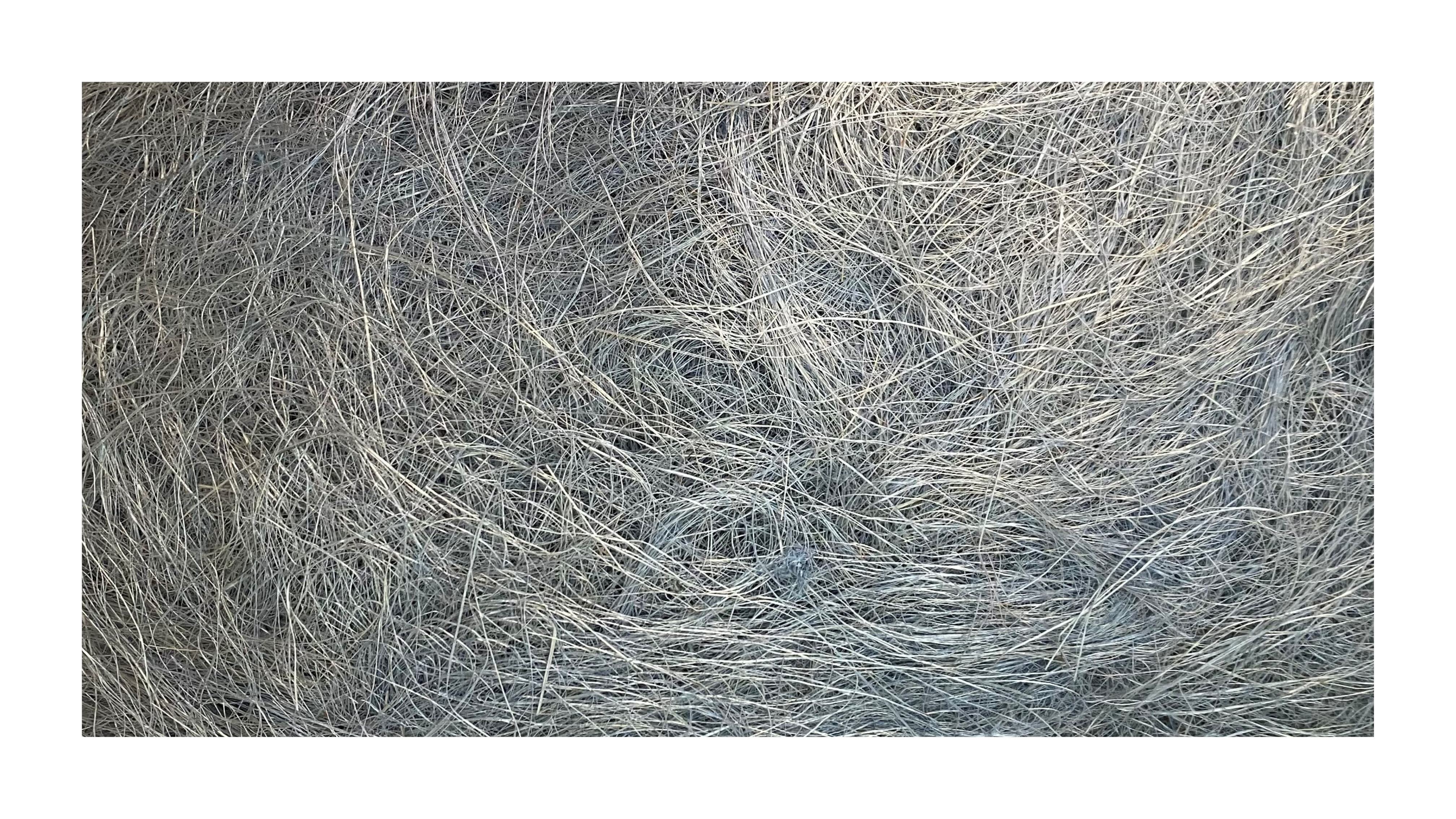 GUMON:250G/PKT (533/3)