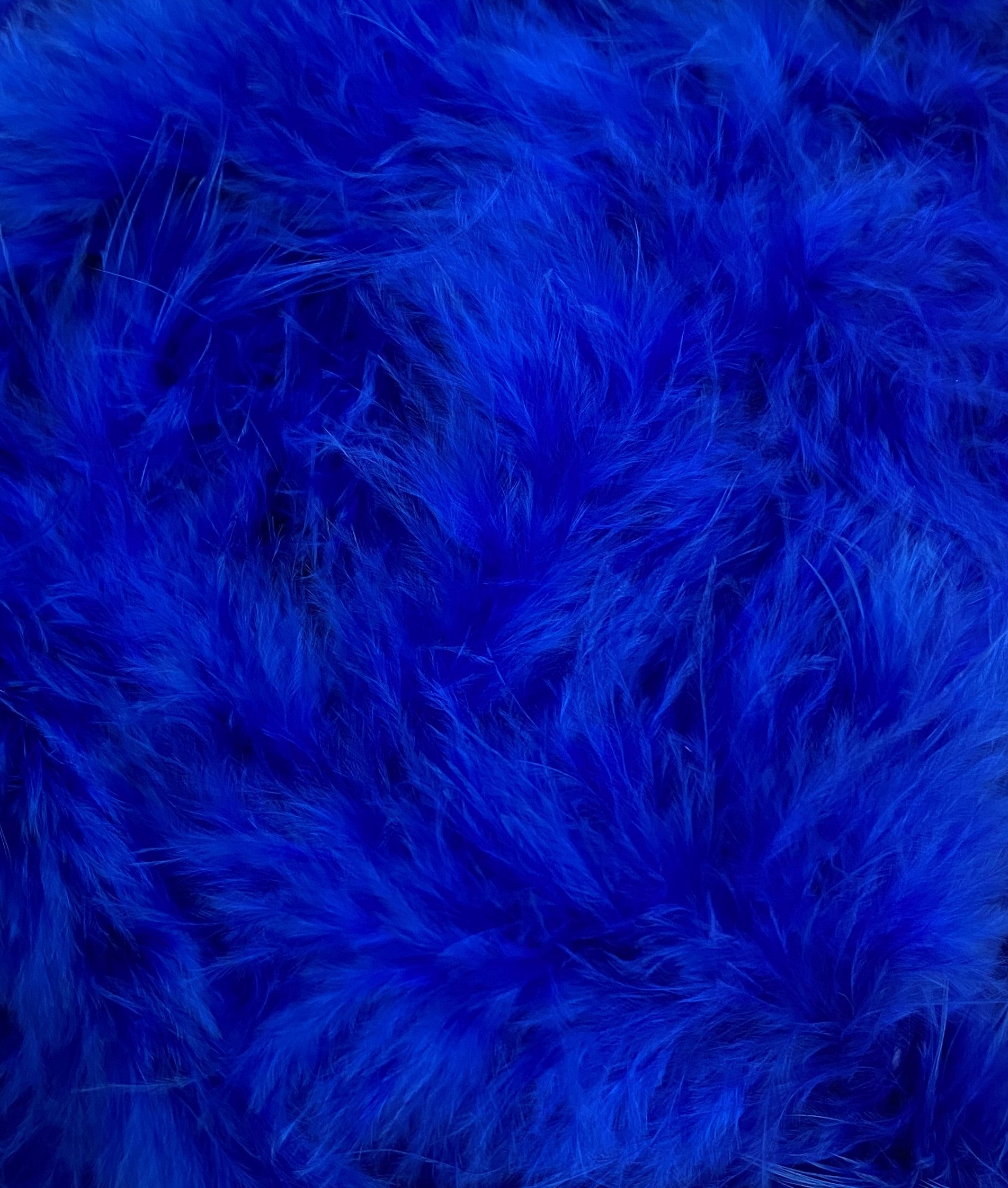 FEATHER TRIMMING;2YX5PC (MCN001)