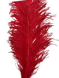 Ostrich Feathers – Large – Pack of 5 (MCN008L)