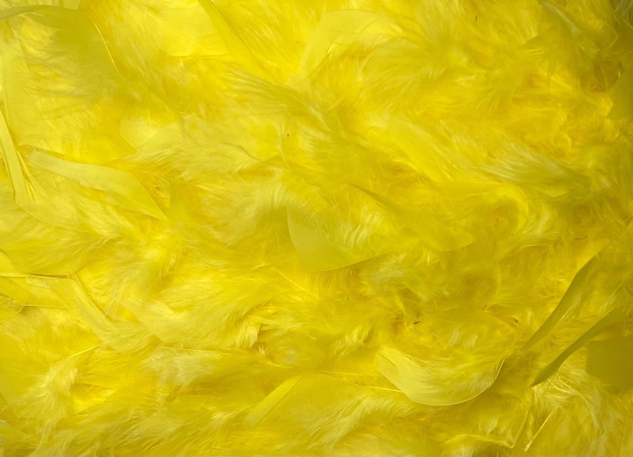 FEATHER TRIMMING;2YD (MCN002)