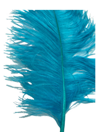 Ostrich Feathers – Large – Pack of 5 (MCN008L)