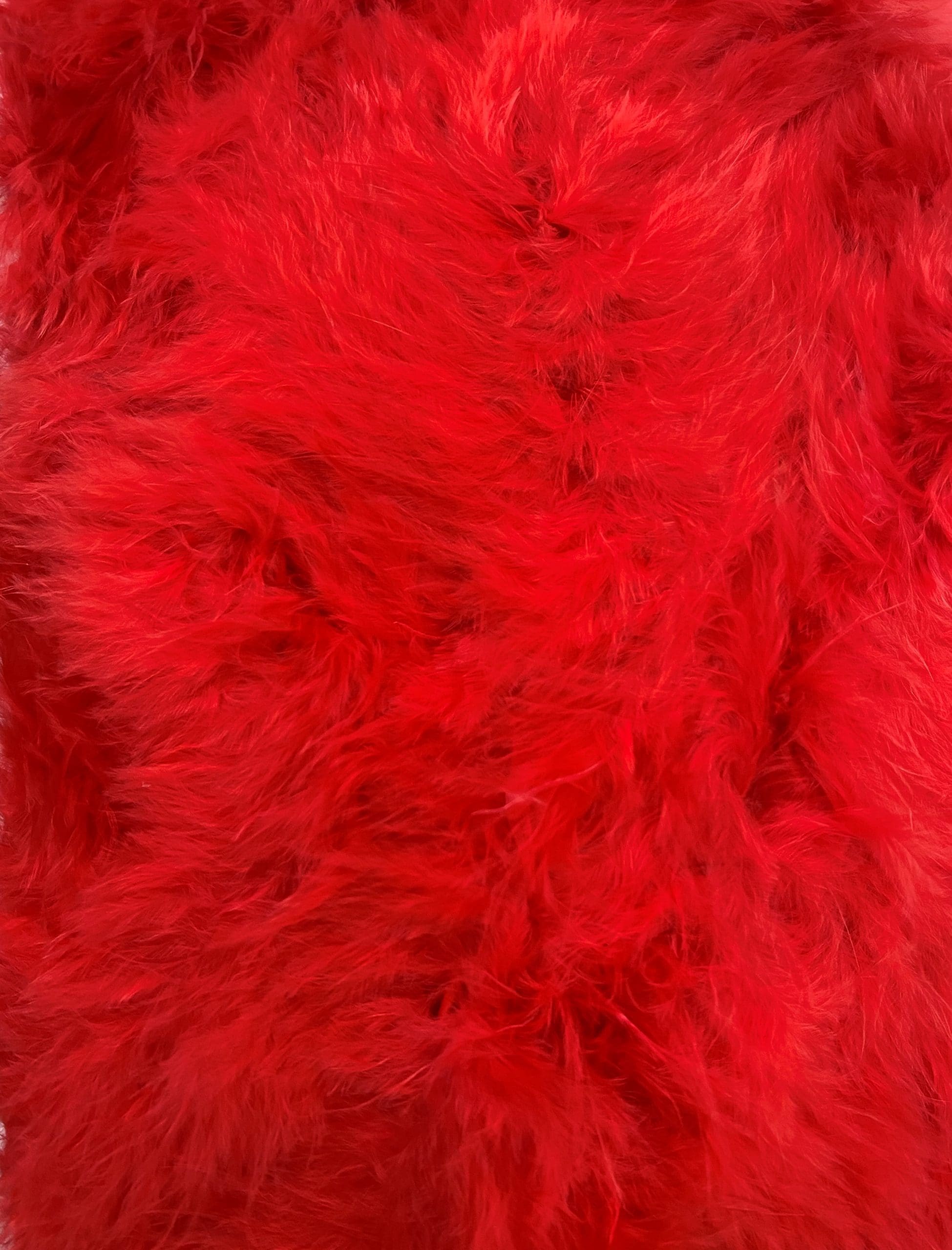 FEATHER TRIMMING;2YX5PC (MCN001)