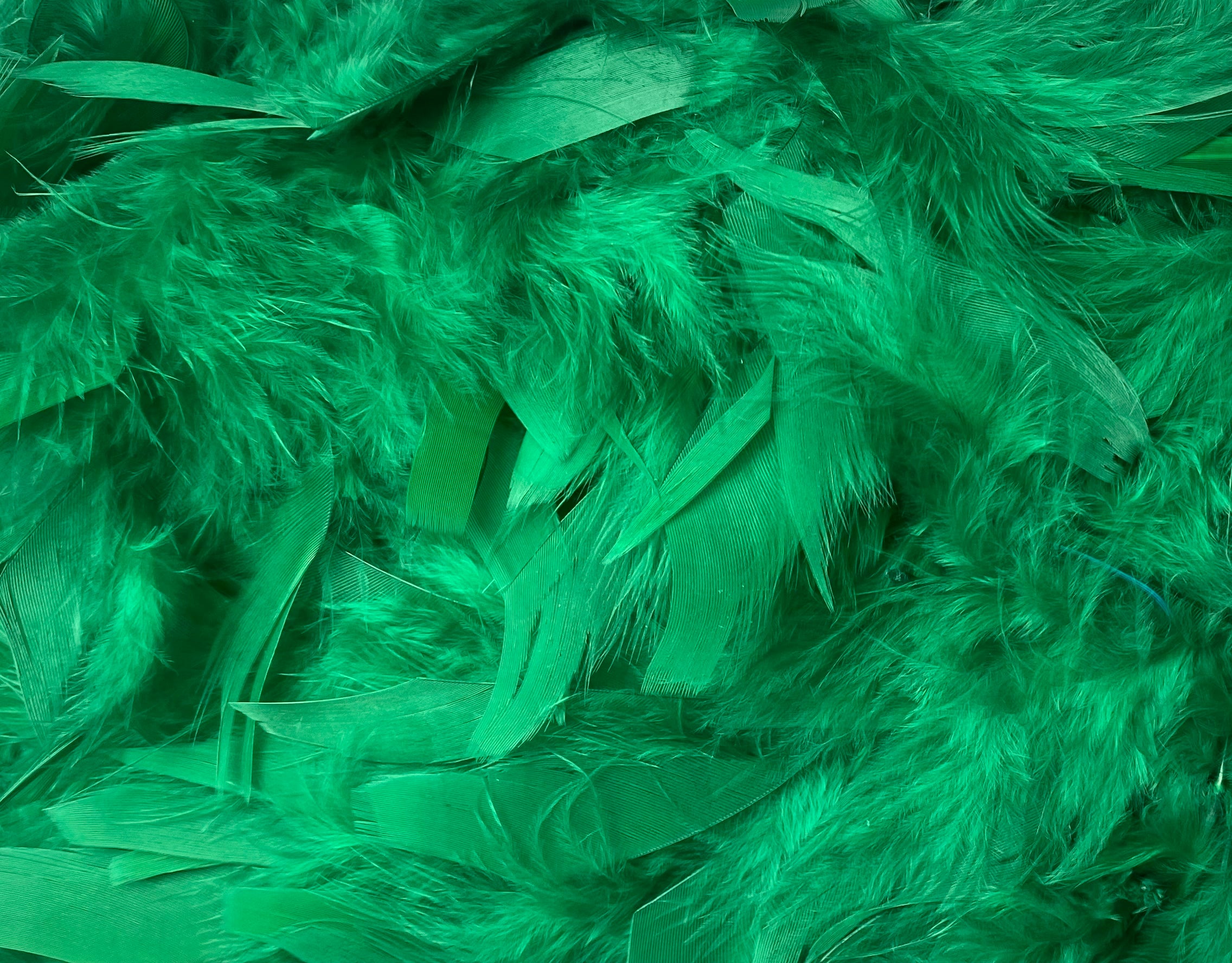 FEATHER TRIMMING;2YD (MCN002)