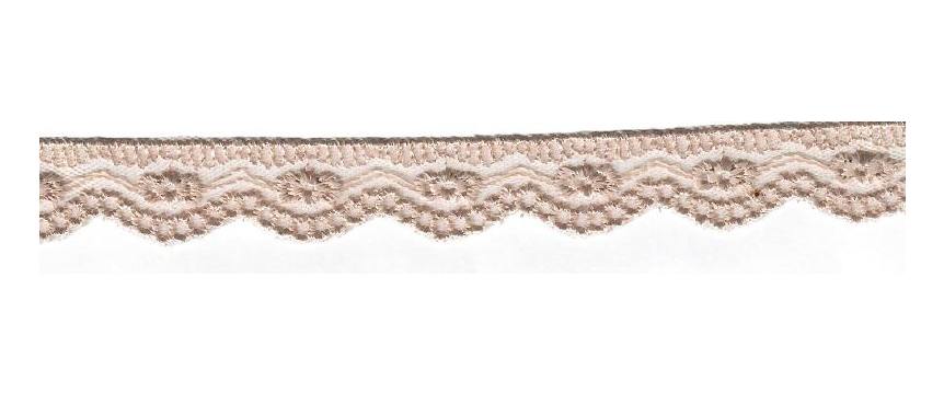 NET CUT LACE:15Y (13.7MT):2.2CM) (D-53-4272)