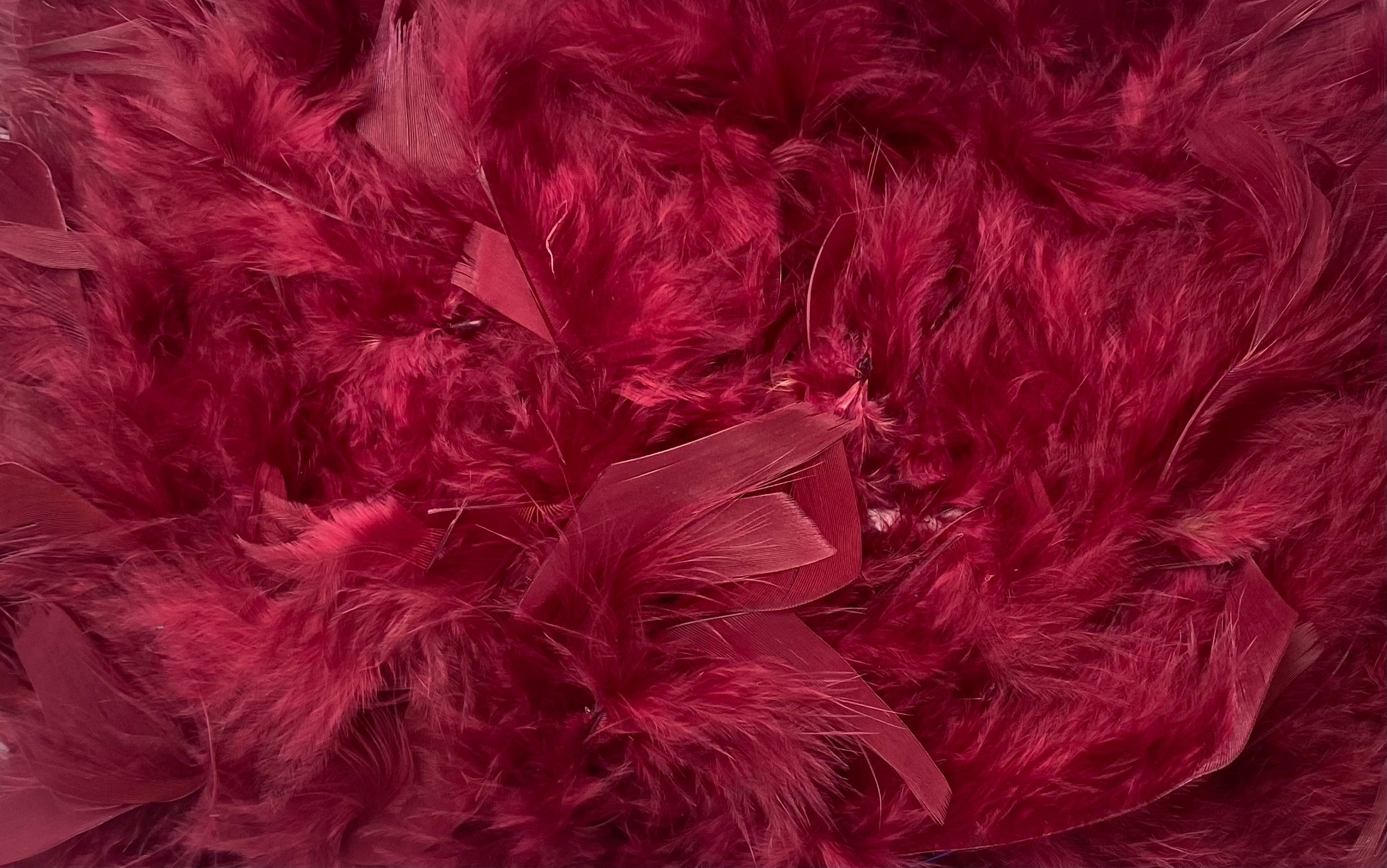 FEATHER TRIMMING;2YD (MCN002)