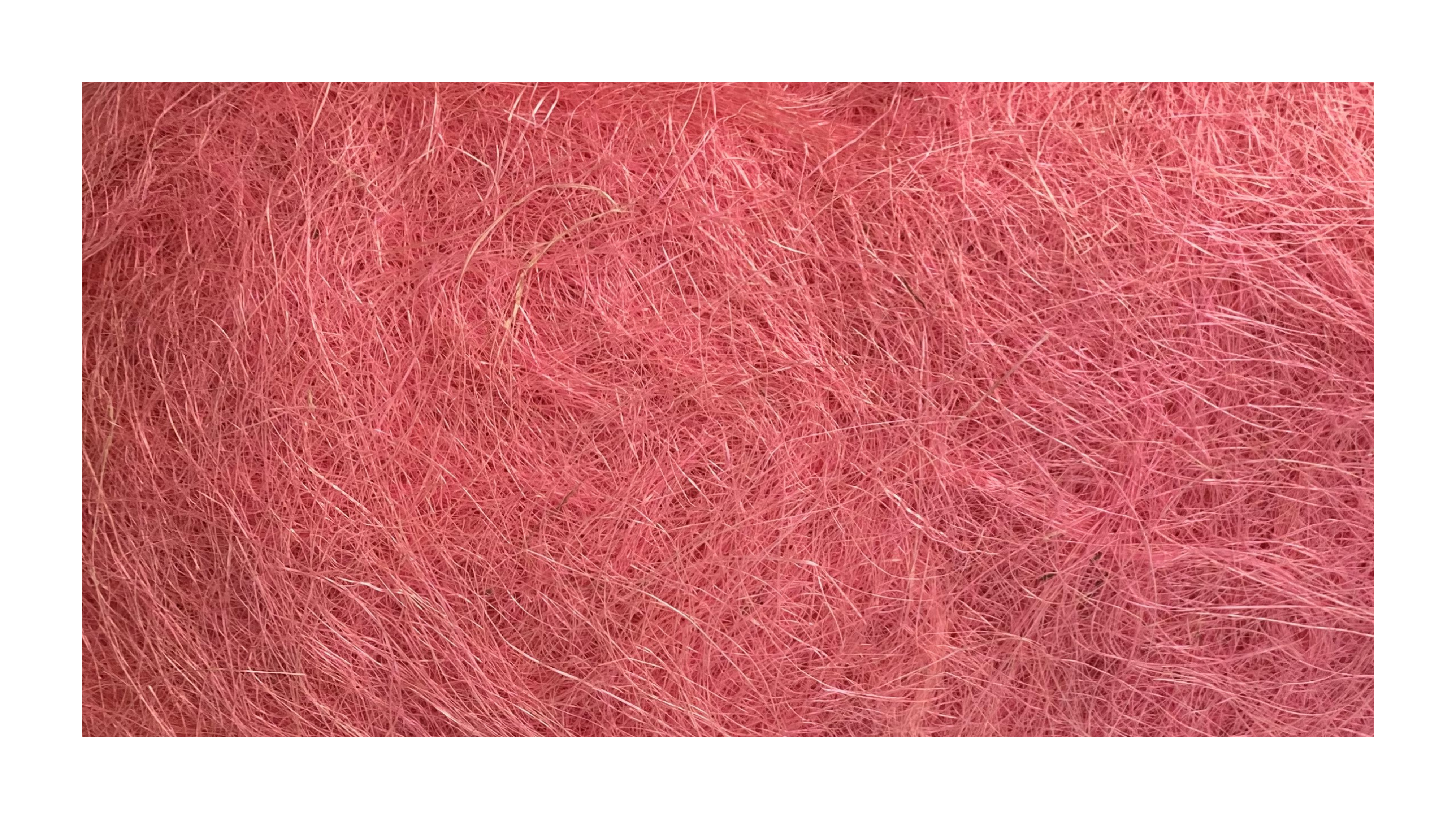 GUMON:250G/PKT (533/3)