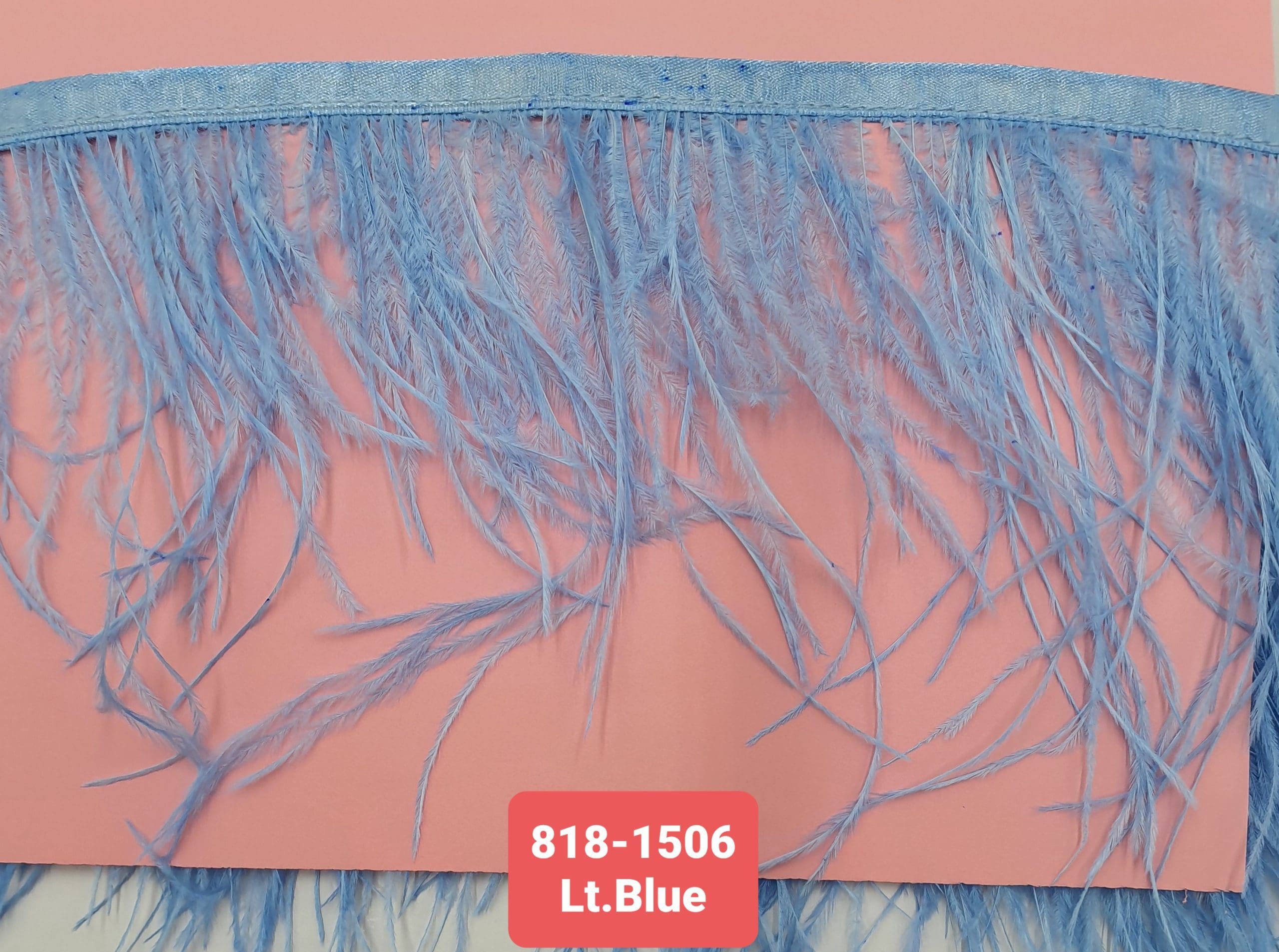 OSTRICH FEATHER TRIMMING:5Y (818-1506)