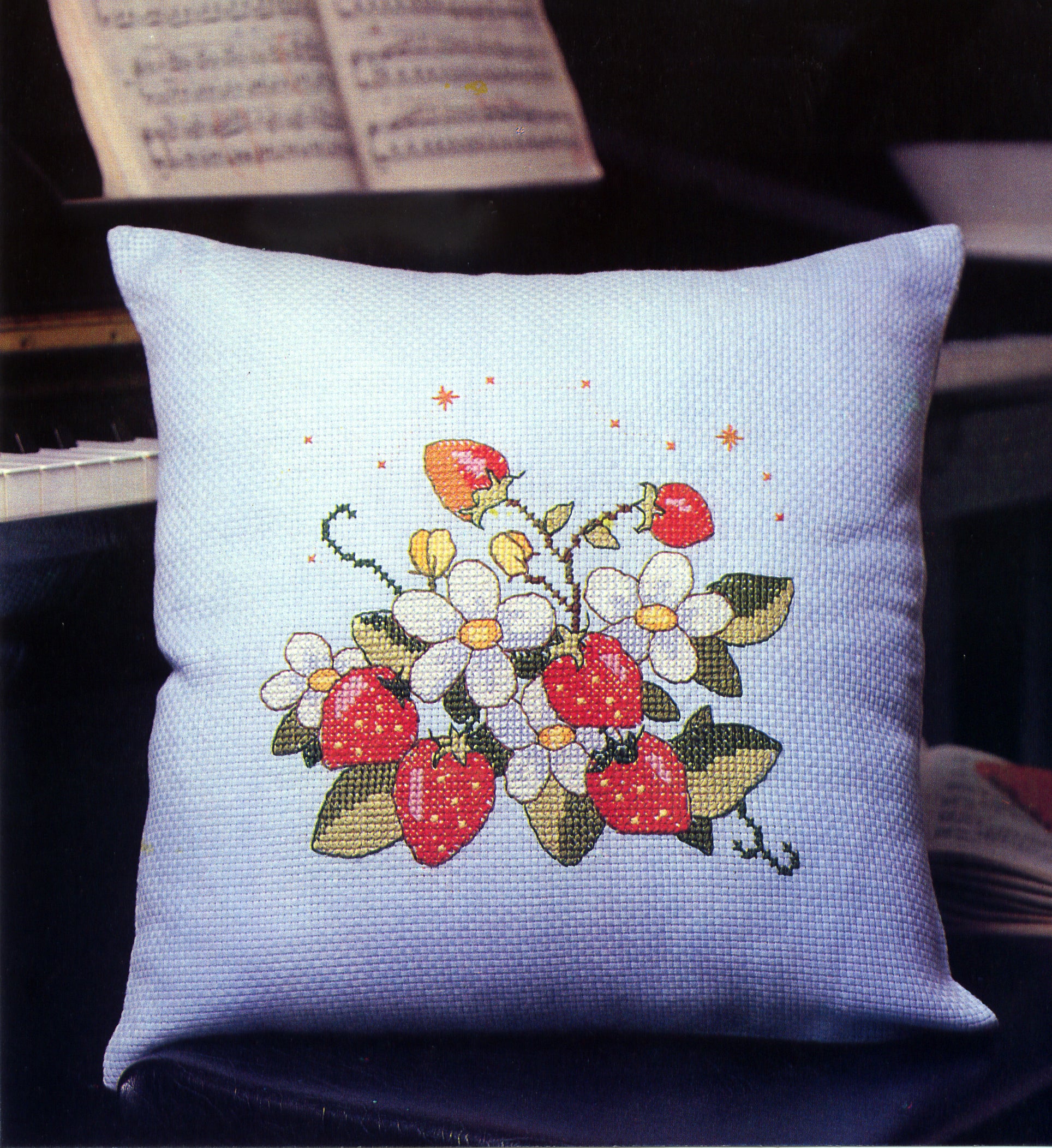 CROSS STITCHERY KIT (CS-250)