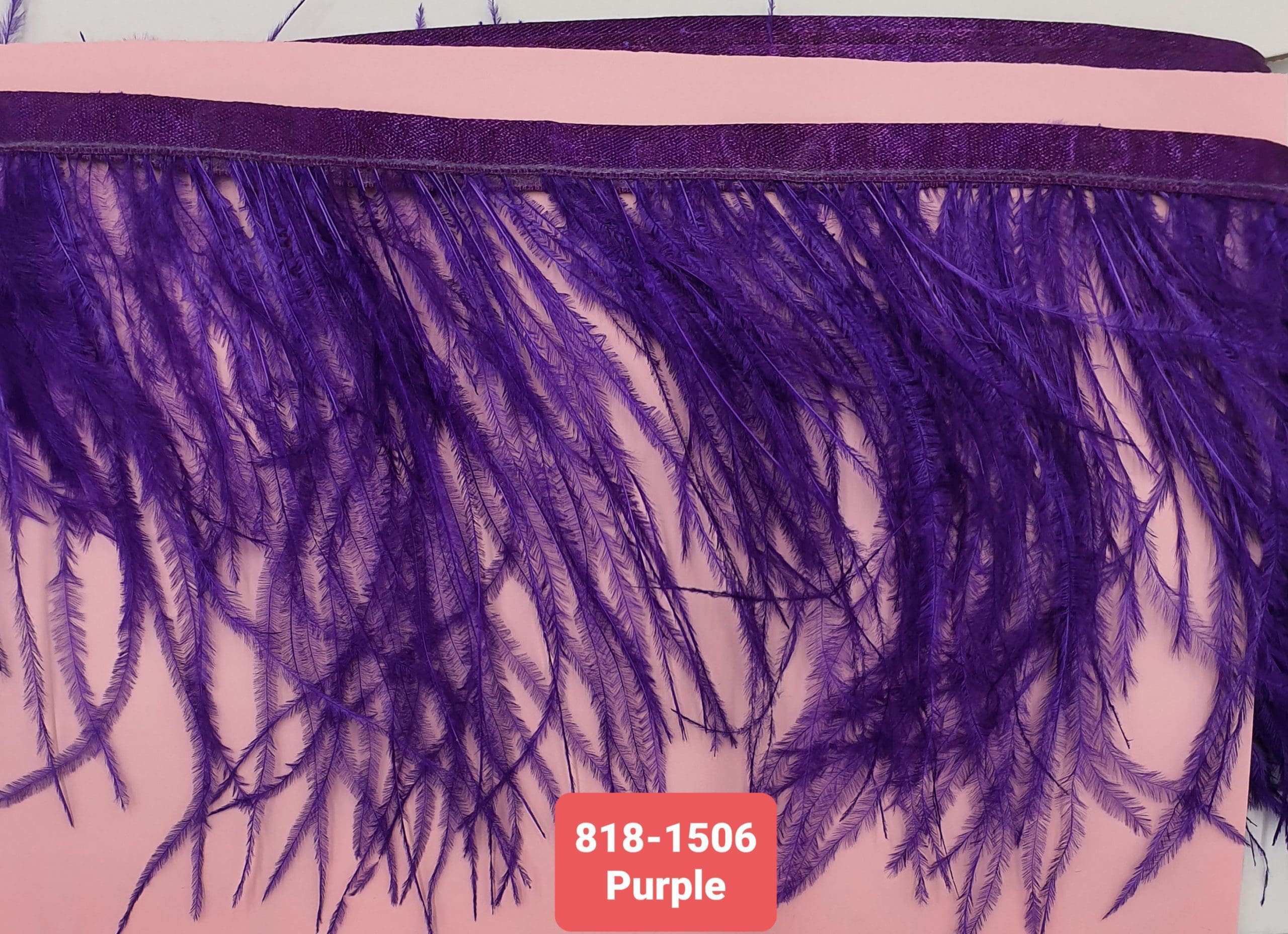 OSTRICH FEATHER TRIMMING:5Y (818-1506)