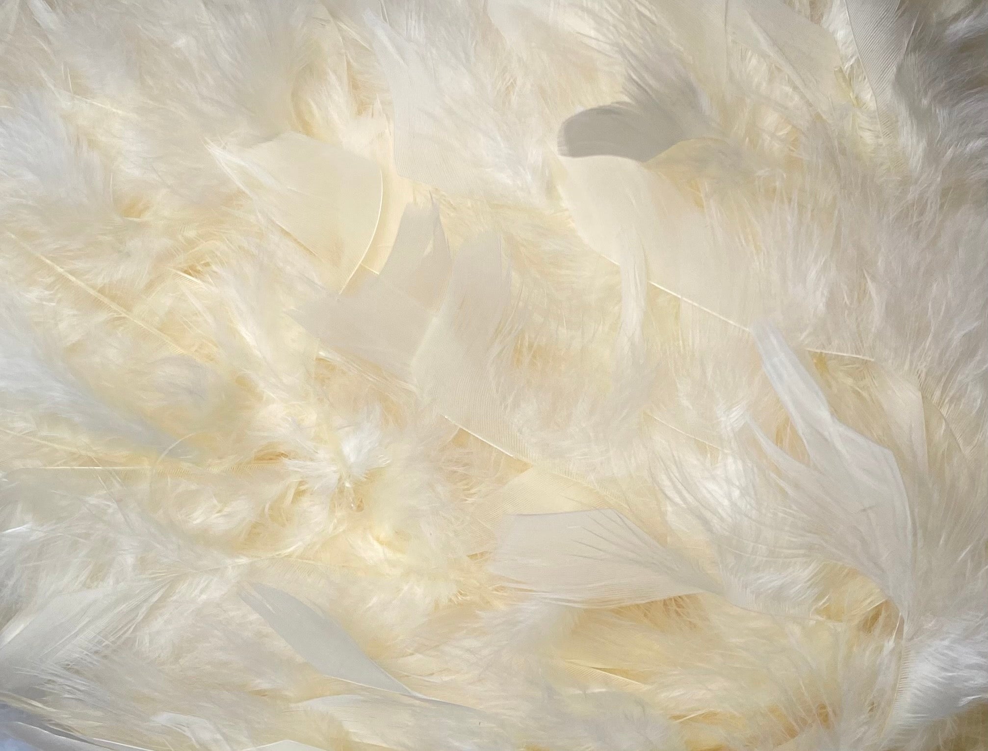 FEATHER TRIMMING;2YD (MCN002)