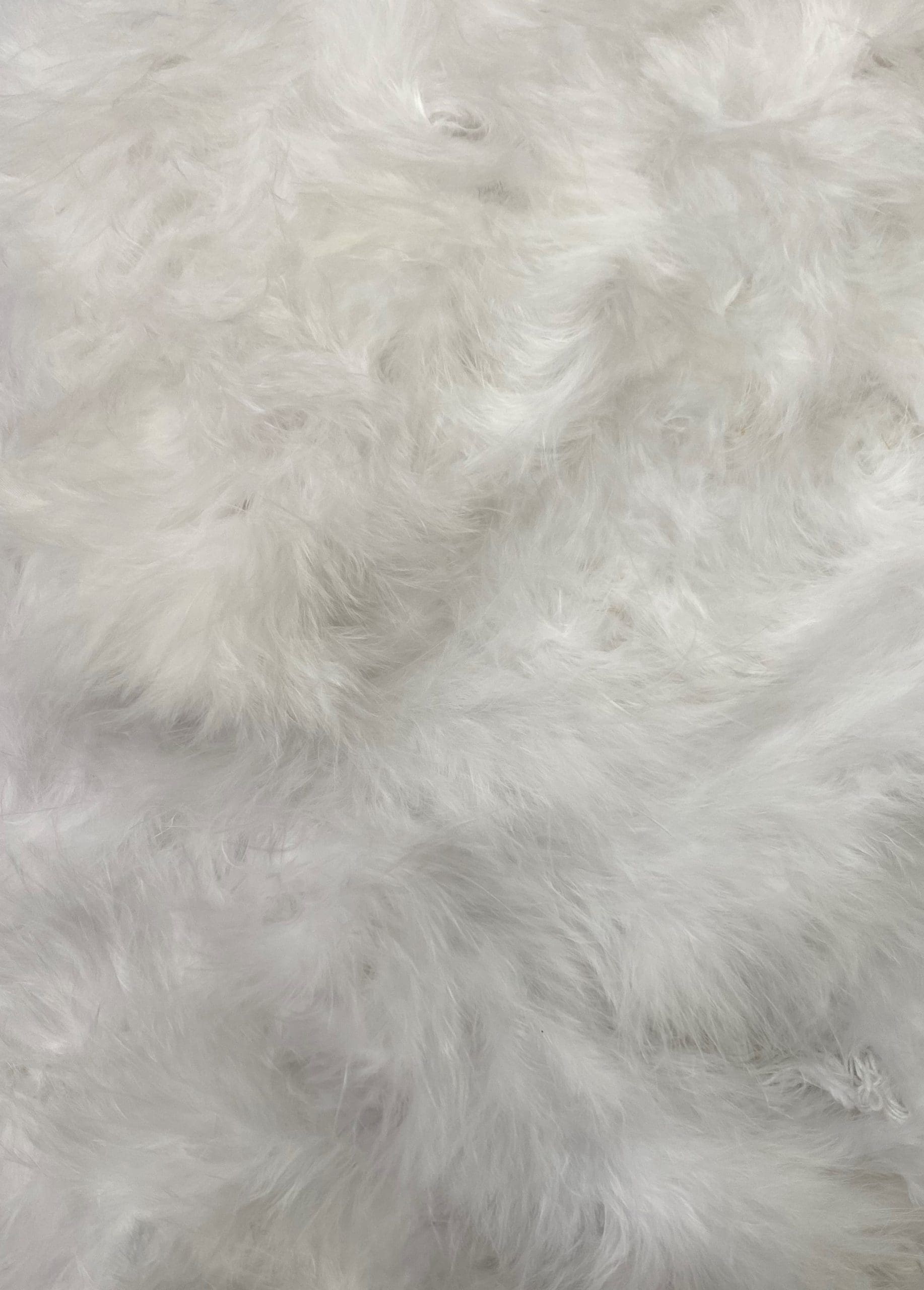 FEATHER TRIMMING;2YX5PC (MCN001)