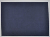 Non-Woven Table Mats – 42 × 32 cm – Pack of 6 (SL/TABLE MAT)