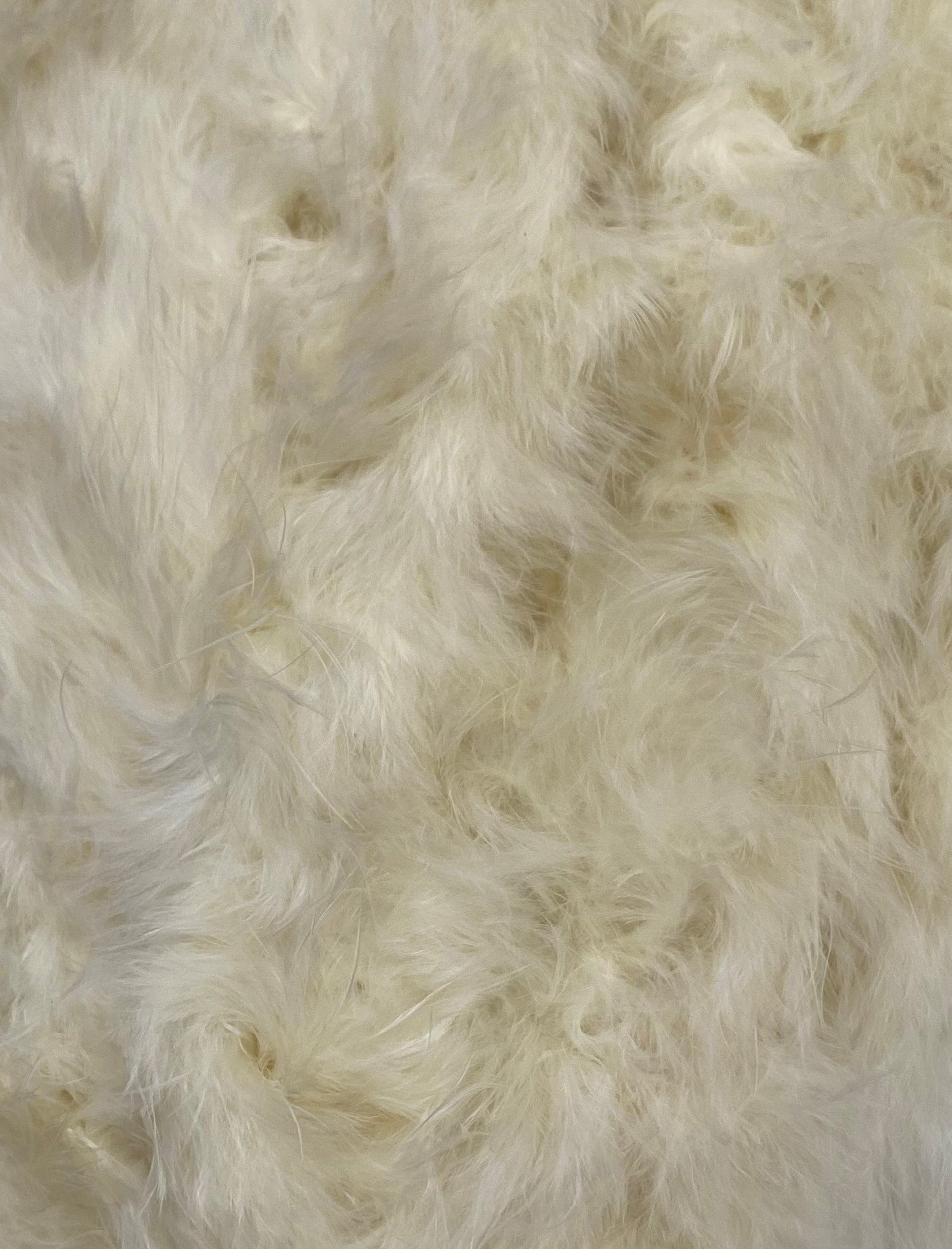 FEATHER TRIMMING;2YX5PC (MCN001)
