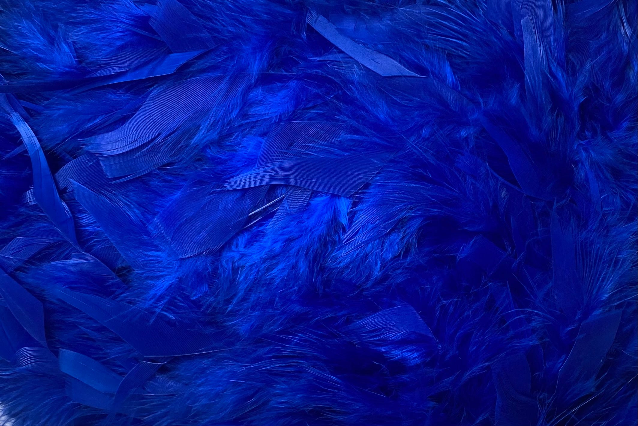 FEATHER TRIMMING;2YD (MCN002)