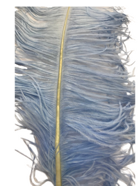 Ostrich Feathers – Large – Pack of 5 (MCN008L)