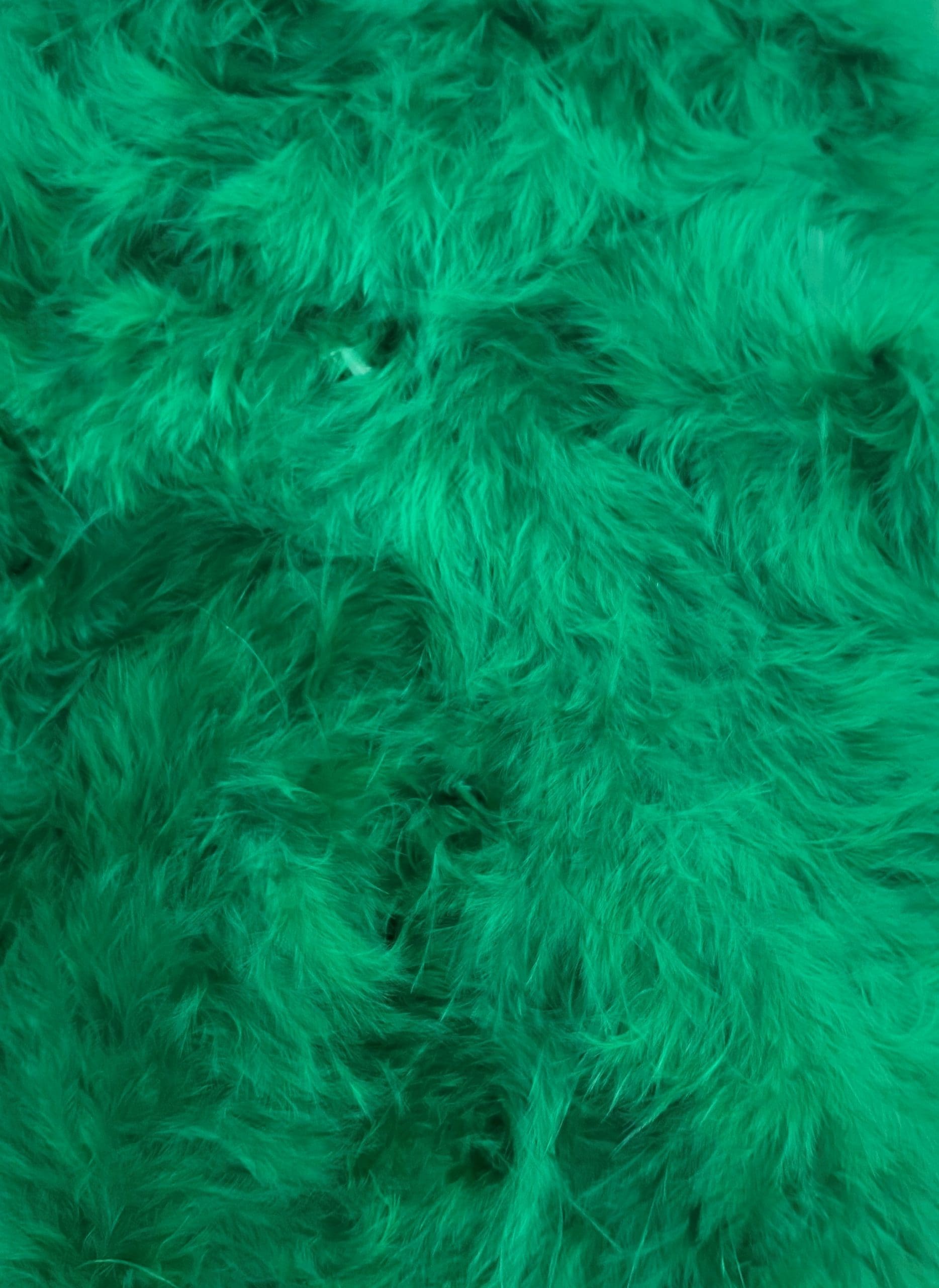 FEATHER TRIMMING;2YX5PC (MCN001)