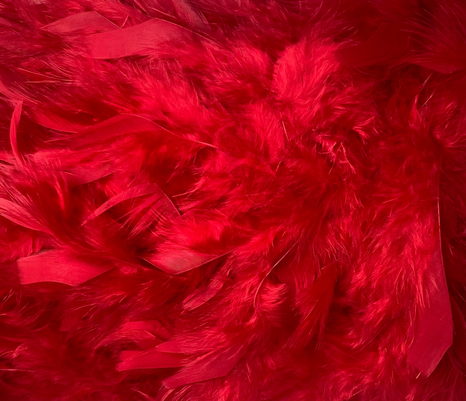 FEATHER TRIMMING;2YD (MCN002)
