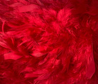 Feather Trimming – 2 yd (MCN002)