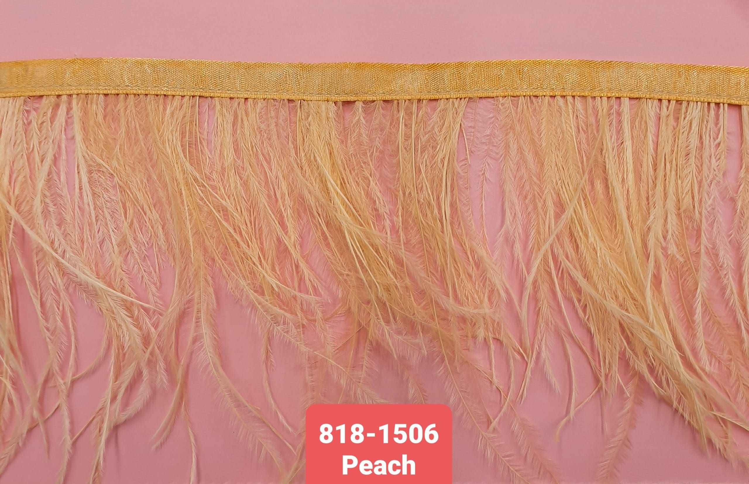 OSTRICH FEATHER TRIMMING:5Y (818-1506)