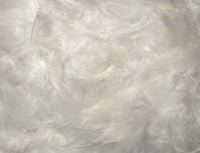 Feather Trimming – 2 yd (MCN002)