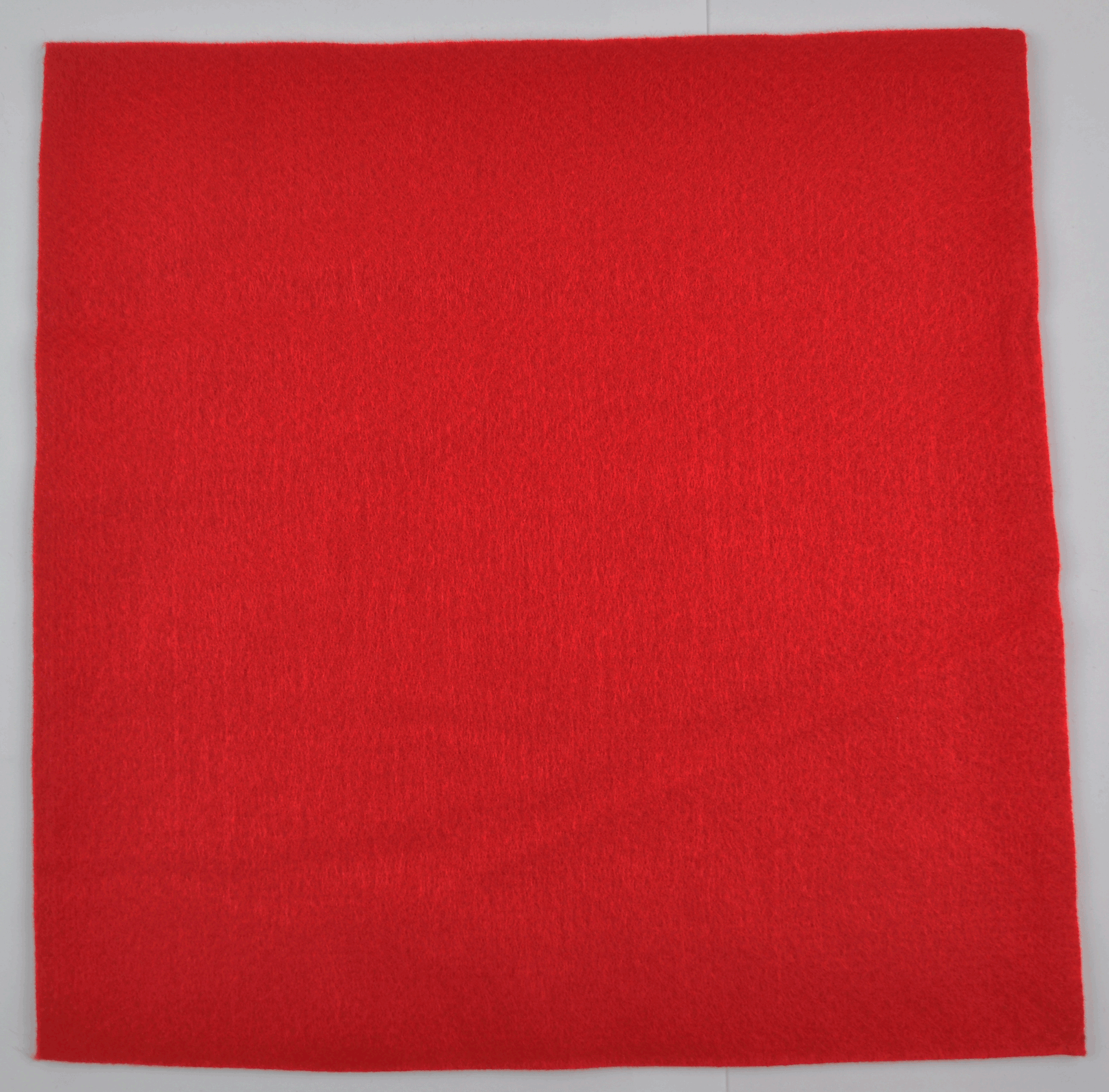 ACR NEEDLE FELT:10PC/BAG (ANF-JC3030B)
