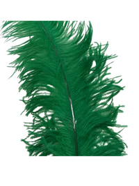 Ostrich Feathers – Large – Pack of 5 (MCN008L)