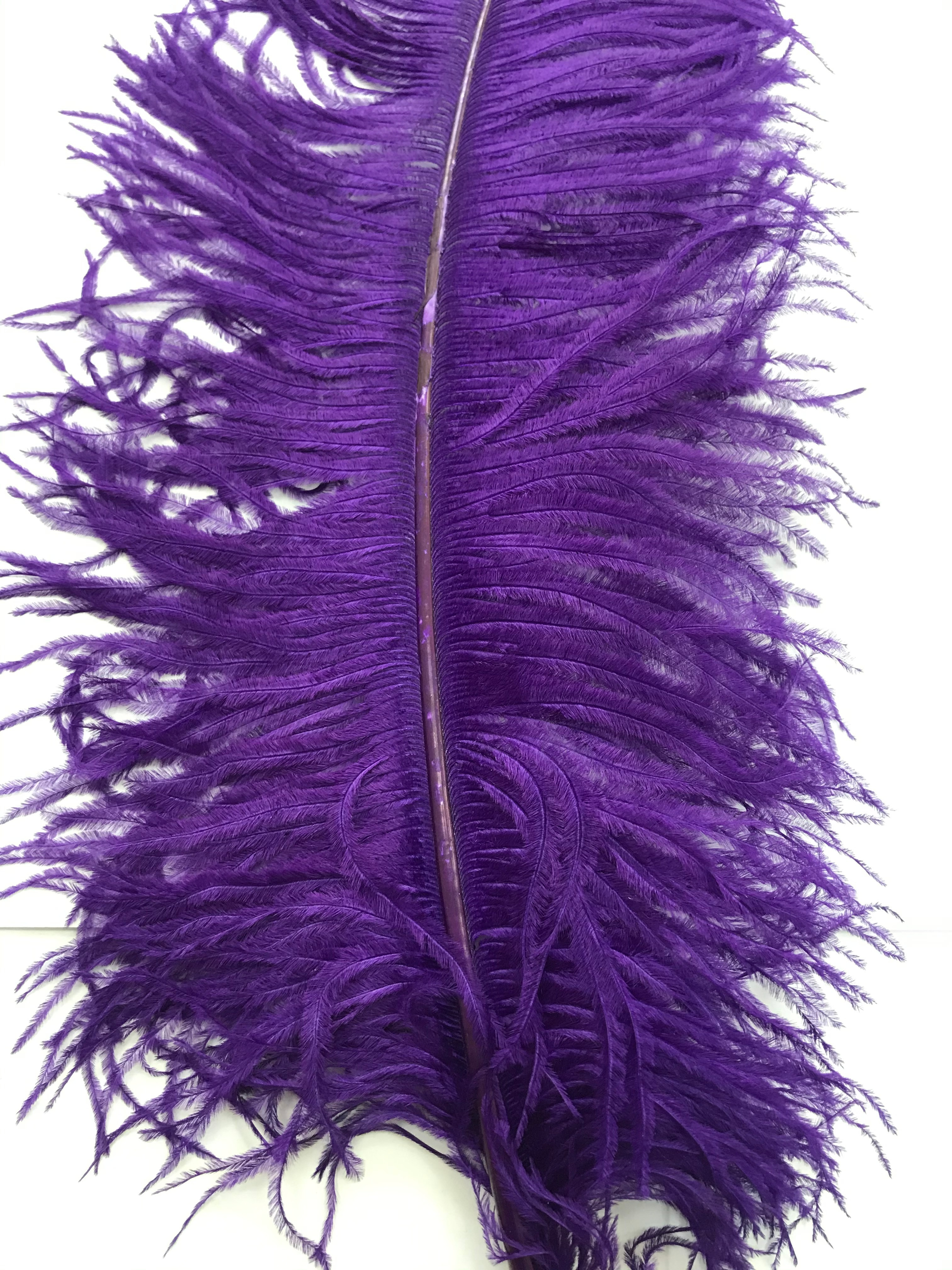 OSTRICH FEATHER:LARGE;5PC/BAG (MCN008L)