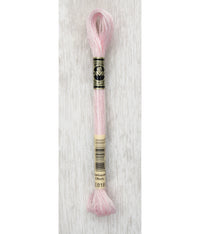 DMC Light Effects Metallic Embroidery Floss — 6 Skeins (317W)