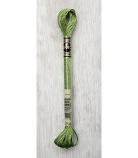 DMC Light Effects Metallic Embroidery Floss — 6 Skeins (317W)