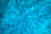 Feather Trimming – 2 yd (MCN002)