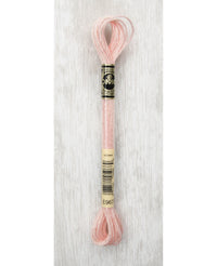 DMC Light Effects Metallic Embroidery Floss — 6 Skeins (317W)