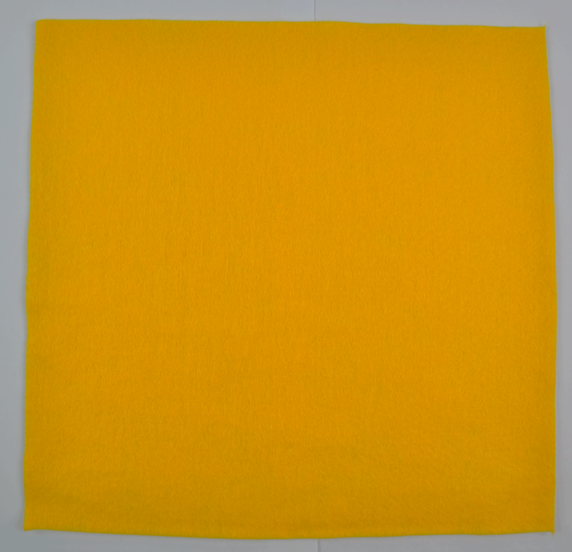 ACR NEEDLE FELT:10PC/BAG (ANF-JC3030B)