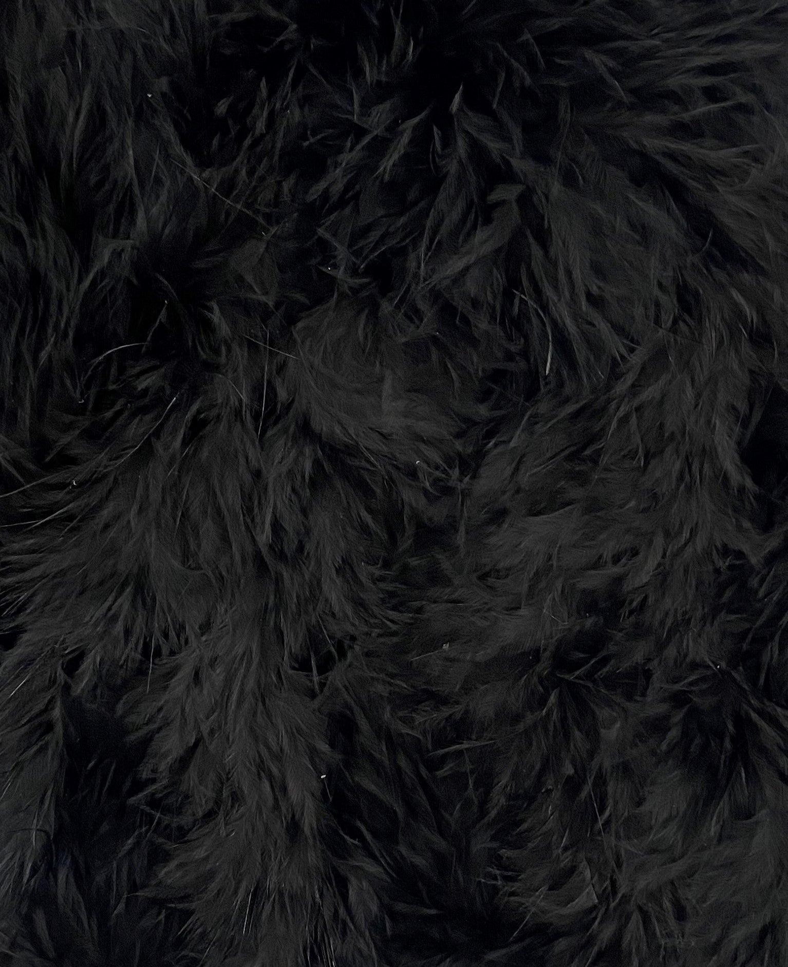 FEATHER TRIMMING;2YX5PC (MCN001)