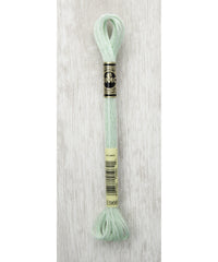 DMC Light Effects Metallic Embroidery Floss — 6 Skeins (317W)