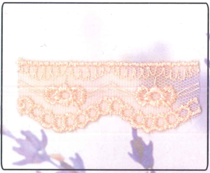 NET CUT LACE:15Y (13.7MT):2.2CM) (D-53-4272)
