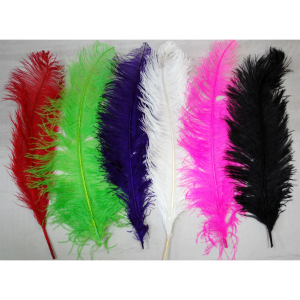 Feathers