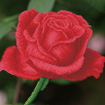 Rose Bud 12.0" x 12.0" (DD5.038)