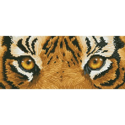 Tiger Spy 16.5" x 5.9" (DD5.041)