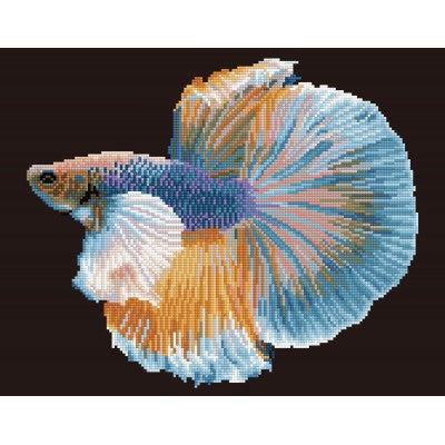 Luminous Fish 14.57 x 18.5 in (DD9.078)