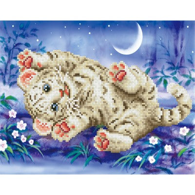 Baby Tiger Roly Poly with Frame 10.98 x 13.98 in (DDK5.005)