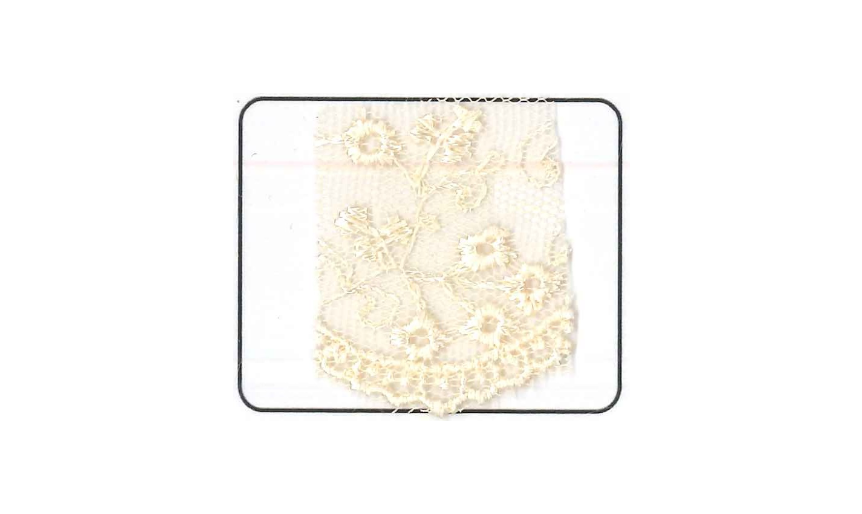 NET-CUT LACE:15Y (13.7M):6.25CM) (D-44-4028)