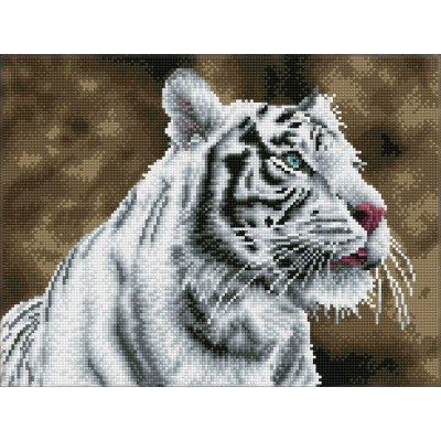 Tiger Blanc 12.2x16.14 in (DQ8.007)
