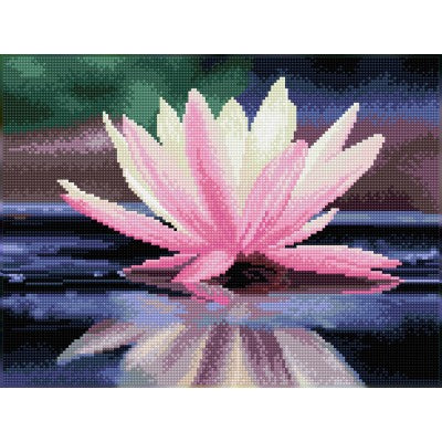 Reflections 12.2x16.14 in (DQ8.008)